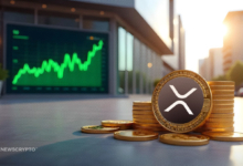 Why Traders Are Betting on XRP's Price Surge