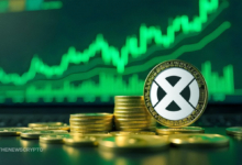 XCN Jumps 20% Today Following Onyxcoin’s New Update Announcements