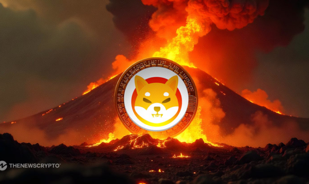 SHIB Burn Rate Explodes 2024%, Yet Price Remains Sluggish