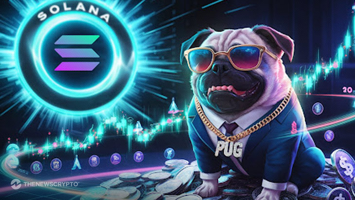 Solana Targets 10x as Rich Pug Goes Viral