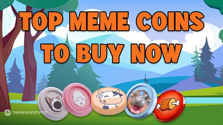 11,400+ Investors Joined This Best Meme Coin Presale To Buy Now as BTFD Is Poised for a 3650% Surge—Popcat and Memecoin Stay Firm! 