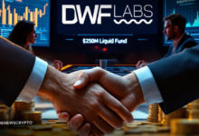 DWF Labs Rolls Out $250 Million Fund to Power Blockchain Innovation