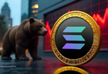 Solana's Price Faces Bearish Pressure as Meme Coin Frenzy Fades