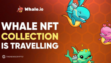 Whale.io to Bridge NFT Collection from TON Blockchain to Solana