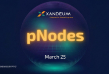 Xandeum Launches pNodes to Boost Solana's Scalable Storage Layer