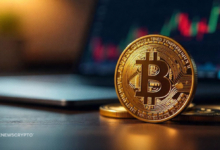 Crypto Market Revival, How Bitcoin Policy and Peace Sparked a Surge?