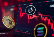 XRP, Solana, Dogecoin Rally as Crypto Market Shows Signs of Recovery