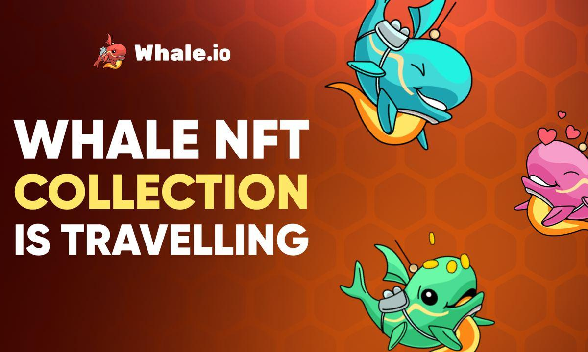 Whale.io to Bridge NFT Collection from TON Blockchain to Solana