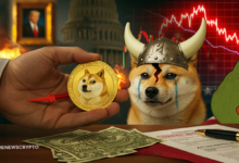 Dogecoin Nears Key Support as Bullish Momentum Wanes