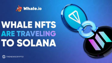 Whale NFT Bridge Goes Live: TON to Solana Migration Launches on Bridgemedaddy.com