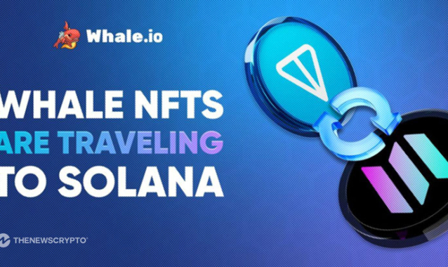 Whale NFT Bridge Goes Live: TON to Solana Migration Launches on Bridgemedaddy.com
