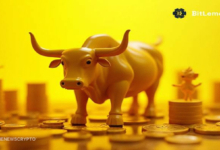 bull run