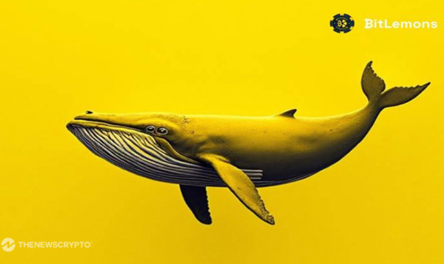 Market Movers Alert: Bitcoin Eyes $118K Breakout, XRP Whale Accumulation Signals Bullish Momentum, But Could BitLemons ($BLEM) Deliver the Biggest Returns?