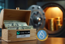 Sui Foundation to Fully Compensate Investors After Cetus Attack 