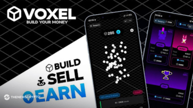 VOXEL: Revolutionizing the World of 3D NFTs