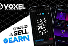 VOXEL: Revolutionizing the World of 3D NFTs