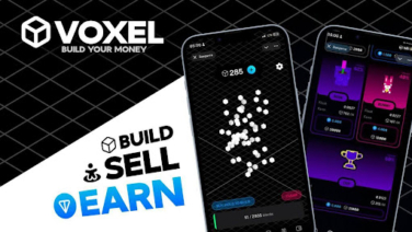 VOXEL: Revolutionizing the World of 3D NFTs
