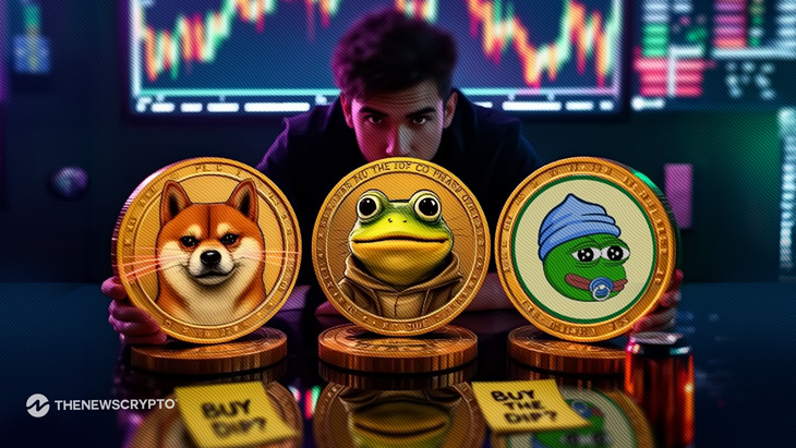 3 Meme Coins Smart Investors Are Buying During the Dip