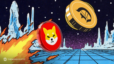 As Meme Coins Rebound, Are Shiba Inu (SHIB) and Salamanca (DON) Tokens a Golden Investment Opportunity?