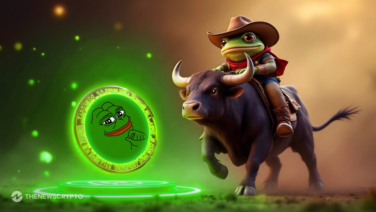 Is PEPE Gearing Up for More Gains After Volume Spikes 137%?