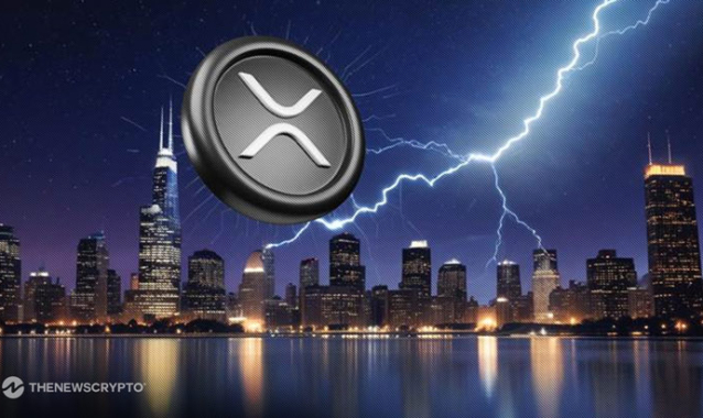 This Is How High XRP Could Go by 2035 With Modest 2% Monthly Gains