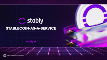 Stably Introduces Stablecoin Development & Advisory Services for Institutions & Enterprises