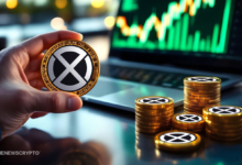 Will the Onyxcoin (XCN) Rally Continue or Lose Steam Before $0.020?
