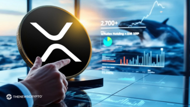 XRP Network Activity Explodes as Whale Count Reaches 12-Year High