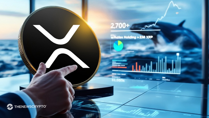 XRP Network Activity Explodes as Whale Count Reaches 12-Year High