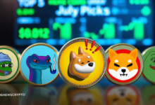 5 Best Low-Cap Meme Coins Under $0.05 to Buy This July; Little Pepe Could Be the Next Breakout