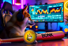 Can BONK Unleash the Bulls and Fetch More Gains?