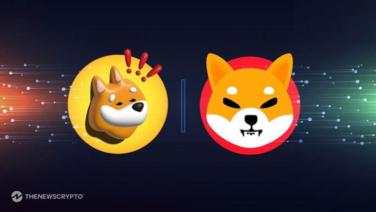 Is This the Future of Social Media? DeSoc Launches Presale as Shiba Inu And Bonk Holders Snap Up SOCS