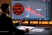 SEI Price Drops 9% But Technical Indicators Signal Potential Recovery