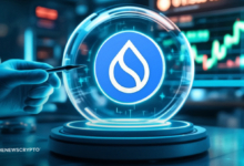 Will SUI Ride the Bull Wave to Fresh Peaks?