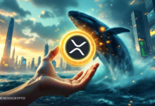 Whale Power Propels XRP 26% Weekly Gain as Bulls Eye $3.04 Target