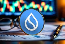 6% Slide and SUI in Retreat: Is a Bullish Counterattack Coming?