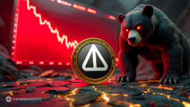 Red Alert for Notcoin: Single-Day 8% Slump Sparks Fears of a Further Fall