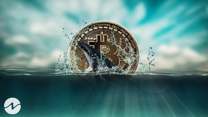 Bitcoin Falls 2.2% as Whale Sells $2B BTC to Buy Ethereum