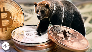 bitcoin bear market