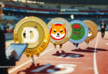 Meme Coins on the Rise, Is Trend Reversal on the Horizon?