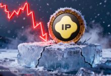 Bears Crush Story (IP) Token with Devastating 25% Intraday Plunge