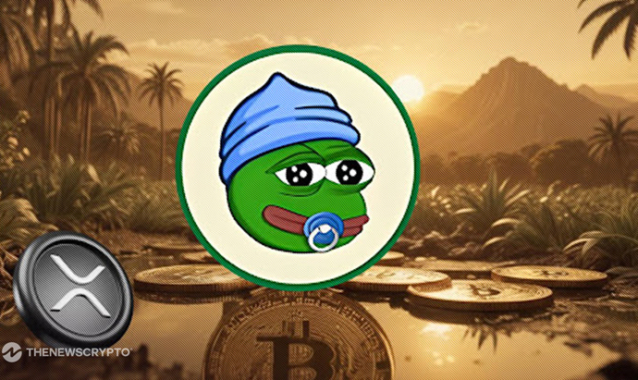This Trending Coin Could Skyrocket Your Portfolio in 2025, Best Bull Run Pick Alongside Ripple (XRP)