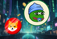 Top Meme Coin to Buy and Hold in 2025: It’s Not Shiba Inu (SHIB)