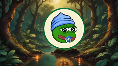 The Only 5 Meme Coins You Need to Turn $430 into $43000 in 2025