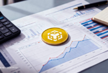 BNB Breaks Limits: Is the Correction Over or Merely Pausing?