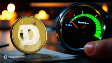 Bearish Clouds Hover Over Dogecoin: Is a Comeback Still on the Cards?