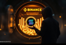 Solana Tokens Transferred to Binance; SOL Price Correction Ahead?
