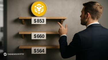 BNB Bears vs. Support Walls: Will $660 and $564 Support Hold the Price?