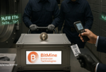 Bitmine Immersion Adds $44M in Ethereum as Institutional Demand Surges
