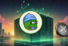 Little Pepe (LILPEPE) Under $0.005 Could Explode 11,500%, Massively Outshining Ripple (XRP)